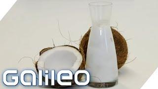 Ist Kokosöl ungesund oder gesund? | Galileo | ProSieben