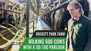 Milking 600 Cow With a 50/100 Parlour - Rossett Park Farm