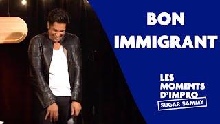 Sugar Sammy: Bon immigrant