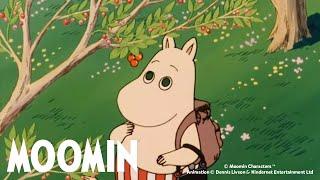 Moomin 90s Marathon | Ep 51-60 | 3 Hours Episode Compilation | Moomin Official