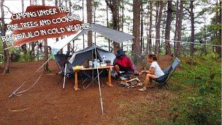 CAMPING UNDER THE PINE TREES l CLAY POT COOKING l NEW CAMPING GEAR l CAMP LIFE EP.23