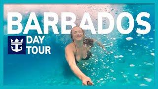 BARBADOS DAY TRIP | ROYAL CARIBBEAN | VOYAGER OF THE SEAS