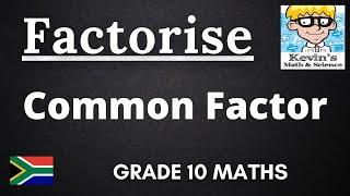 6) Common Factor | factorisation grade 10