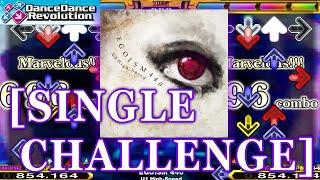 【DDR 2014】 EGOISM 440 [SINGLE CHALLENGE] 修正版2