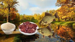 Супер насадка для ловли осеннего карася