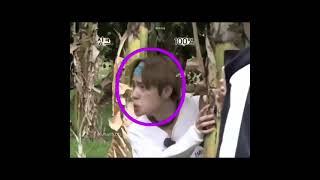 Taehyung the Monkey  