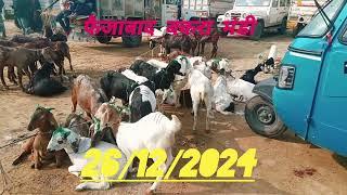 Faizabad Bakra Mandi #bakra #bakrifarm #bakraeidspacial #shorts #youtubevideo