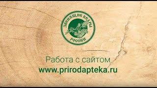 Как стать партнёром проекта «Природная Аптека»