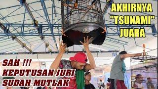 APES KETEMU BURUNG SATU RUMAH‼️ TSUNAMI UCI MRS JUARA LOMBA PAGUYUBAN MURAI MANIA SIAP DIJUAL