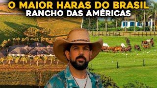 CANTOR SOROCABA É O MAIOR CRIADOR DE CAVALOS DO BRASIL? Haras Milionário!