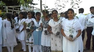 TREE BANK ENVIRO TEAM - ALPHA ARTS & SCIENCE COLLEGE CHENNAI