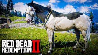 PAINT HORSES AMERICANOS (O COMPÊNDIO pt.1) - RED DEAD REDEMPTION 2