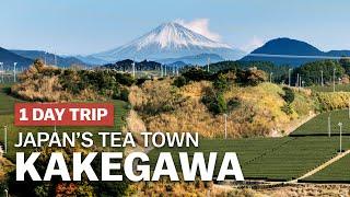 Exploring Japan's Tea Town, Kakegawa in Shizuoka | japan-guide.com
