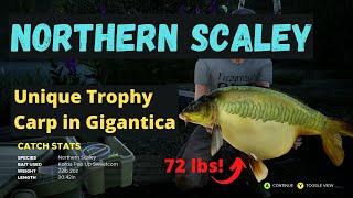 Catching Northern Scaley - Unique Trophy Fish in Gigantica - Fishing Sim World Pro Tour 2020