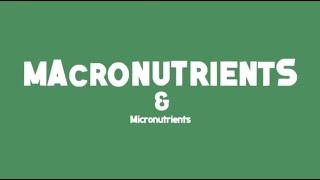 Macronutrients and Micronutrients