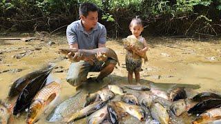 180 Days:Harvest Fish, Piglets, Melon goes to the market sell-Build a new chicken coop -Cooking.