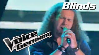 Linkin Park - What I've Done (Theo Bormann) | The Voice of Germany | Blind Audition