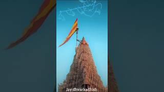 #Jay Dwarkesh #shots #DS #krishna️