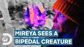 Mireya & Bryce Use Primate Pheromones To Find Bigfoot! | Expedition Bigfoot