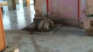 Gandhari Mandir Parikshitgarh । चमत्कारी पत्थर । Mahabharat Kaleen Mandir