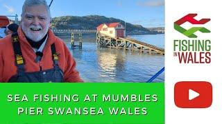 Venue Focus: Sea Fishing at Mumbles Pier, Swansea South Wales