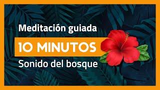 MINDFULNESS MEDITACIÓN GUIADA 10 minutos | Relajación total