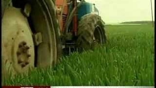 Global Pulse: Biofuel - Another Flawed Policy?
