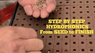 Hydroponic Seed to Finish STEP BY STEP