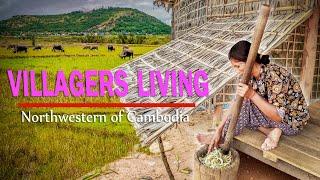 Tour Siem Reap 2021 | Simple life Khmer Villagers | rural living View in Northwestern Cambodia