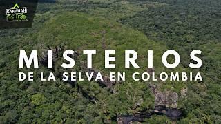 DATOS REVELADORES de la SELVA en Colombia.