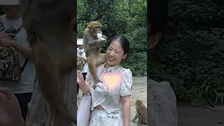 원숭아~~                                                               #실수 #funny #웃긴영상모음 #재밌는영상