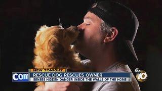 Rescue dog rescues owner