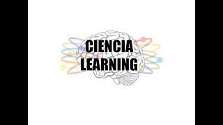 TEXES Science of Teaching Reading Exam Question Breakdown