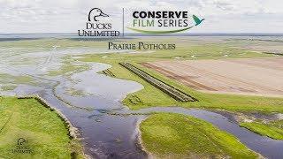 DU Conserve: Prairie Pothole