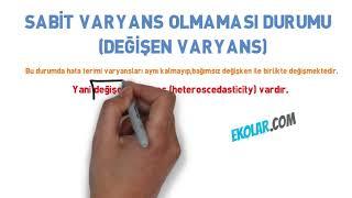 Sabit Varyans Nedir?