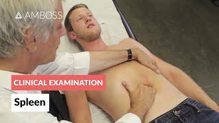 Examination of the Spleen - Clinical Examination