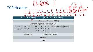 CCNA 200-301 : TCP Header in Transport Layer || Networking || Ashish Rana