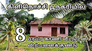 கிளி பூநகரியில் 8 பரப்பு காணி வீட்டுடன் விற்பனைக்கு | Srilankan tamil real estate | real estate |