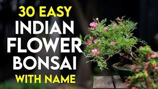 30 Best Flowering Bonsai Trees for Beginners in India | Easy Flowering Plants for Bonsai