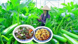 Harvesting Zucchini, Cooking Pumpkin Mushroom Soup, Stir-fried Zucchini with Minced Meat | Thu's