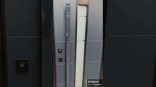 Входная дверь Домани CRYSTAL, панель/панель 100В - Черный US (TOREX)