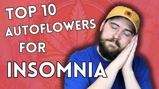 TOP 10 AUTOFLOWER GENETICS FOR INSOMNIA - SLEEPY STRAINS