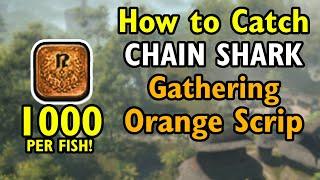 MUST DO! - Chain Shark - 1000 Orange Gathering Scrip fish - FF14 Dawntrail