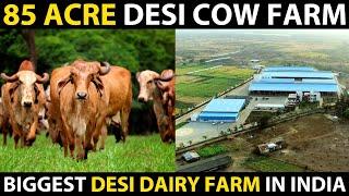 85 ACRE DESI COW FARM..! Biggest Desi High tech Dairy Farm in India | Mr. Milk