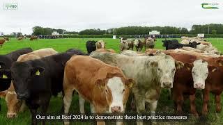 BEEF 2024 - Open Day