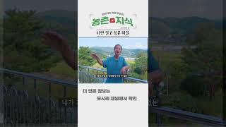 나만 알고 싶은 마을 [알아가는 마을 이야기] #문당마을 #홍성 #주형로