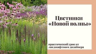 Цветники «Новой волны». Практический урок.