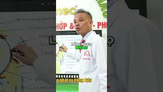 NGUYÊN NHÂN KHỚP GỐI KÊU - SỰ THẬT KINH HOÀNG CÓ THỂ BẠN CHƯA BIẾT!  Y học Thể thao Starsmec