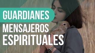 Los ANIMALES y su conexión espiritual CONTIGO: Guía definitiva 