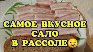 Самое вкусное сало в рассоле!!!